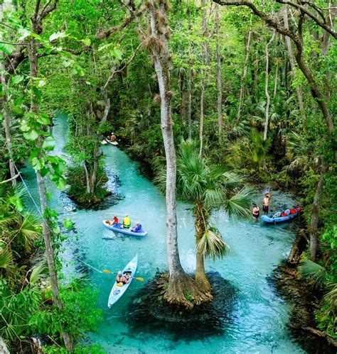 Kings landing fl - King's Landing in Apopka offers pristine water running under a canopy of beauti... Take a trip back in time to a Jurassic jungle hidden away in Central Florida. 